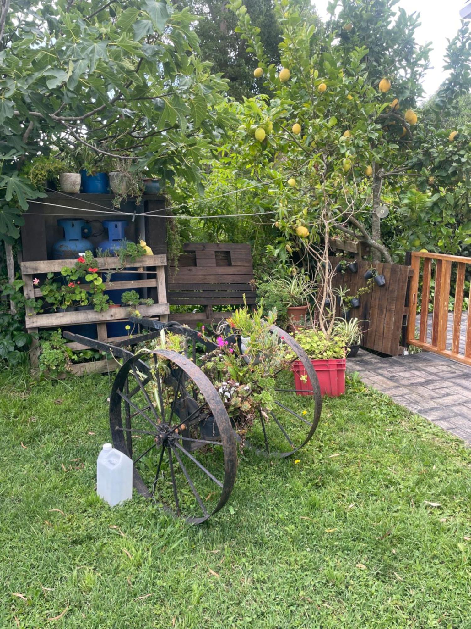 Casa En Colinas Verdes *